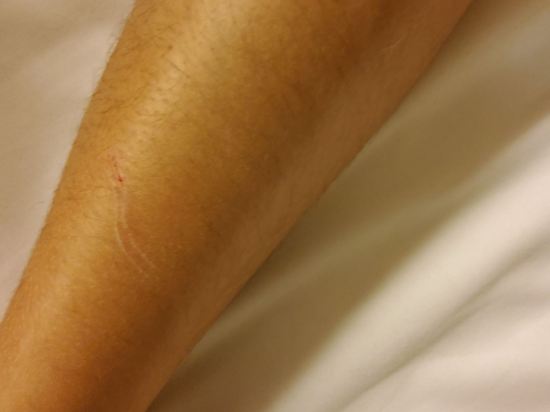 最佳盛品飯店（香港尖沙咀店）（貝斯特韋斯特飯店）優惠