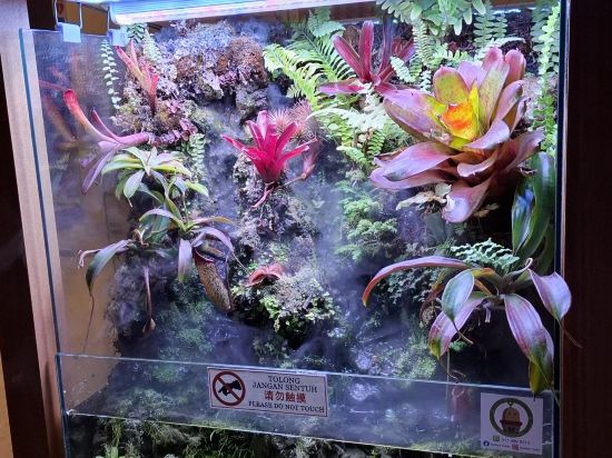 檳城希迪特飯店（又稱檳城龍城飯店）優惠