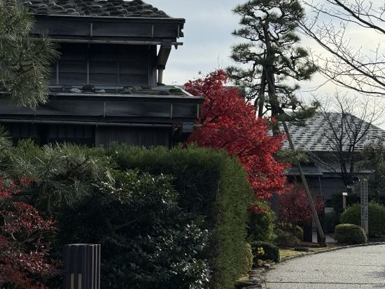 UNIZO旅館-金澤百萬石通優惠