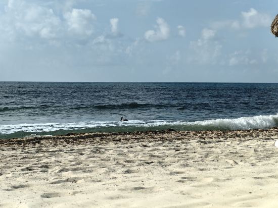 坎昆JW萬豪水療度假村優惠