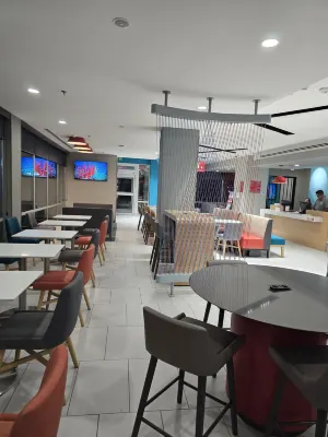 avid hotel 奎雷塔羅南部中心 by IHG Photos