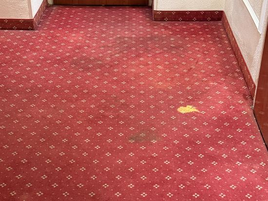 法蘭克福內陸諾富姆飯店優惠