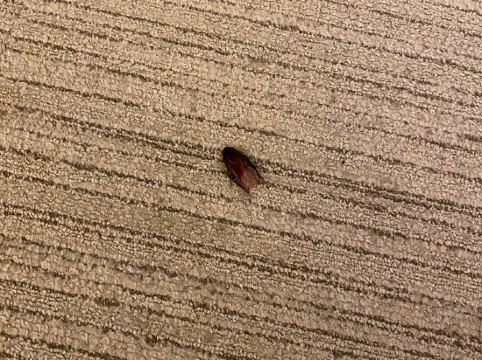 GRAND BASE 名古屋駅西 クーポン