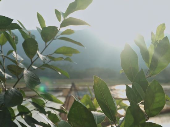 駿怡精選酒店（廣州花都廣百大潤發店）優惠