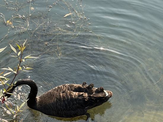 北京四季酒店優惠