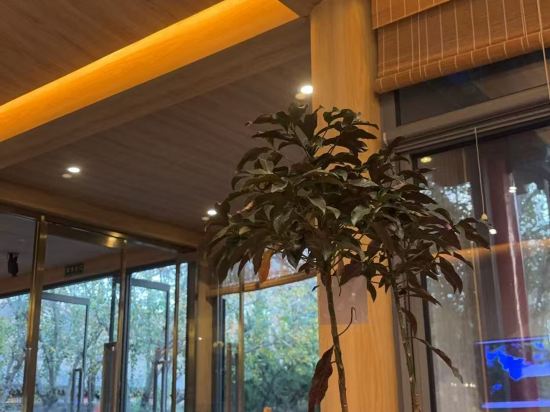 朗麗茲太和府飯店（北京生命科學園地鐵站店）優惠