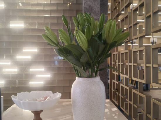 張家界天門山索道亞朵飯店優惠