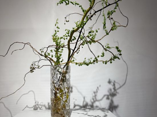 凱里亞德酒店（惠州博羅園洲店）優惠