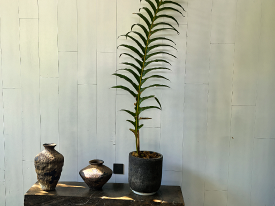 大理瀾庭別院優惠