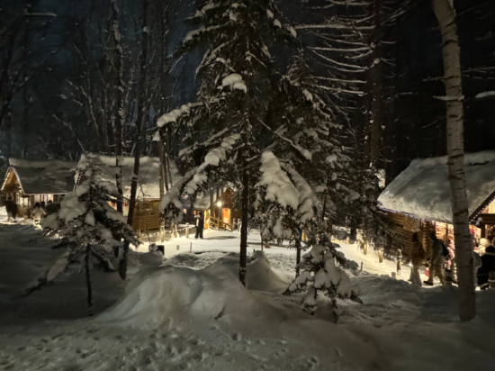 新富良野王子大飯店優惠