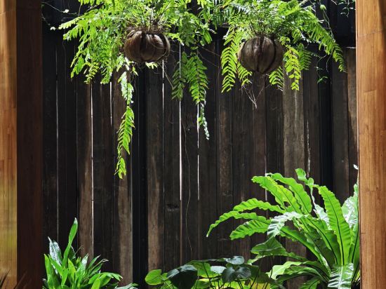 布吉丁索度假村 （SHA Extra Plus）優惠