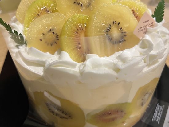 光明卡薩飯店優惠