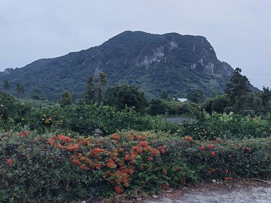 담모라 리조트 쿠폰