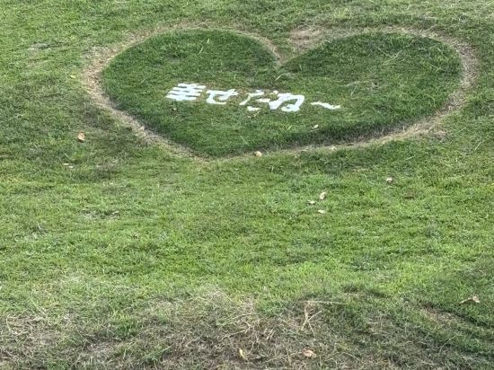 Y's膠囊飯店-那霸國際通優惠