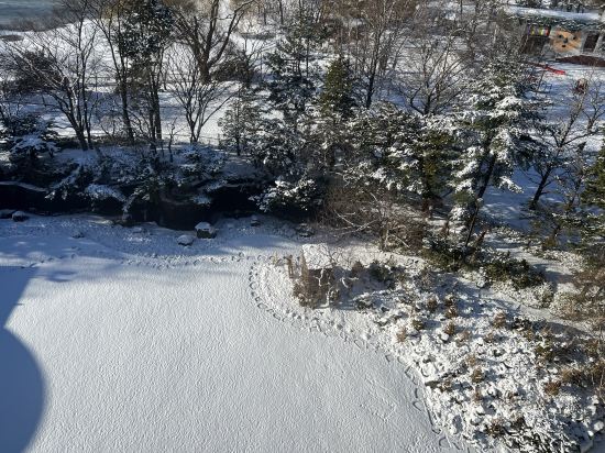 札幌公園飯店優惠