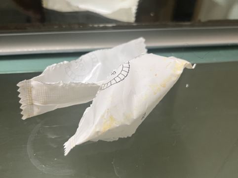 메이힐스 리조트 쿠폰