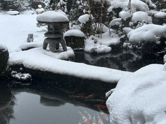 滝の湯 クーポン