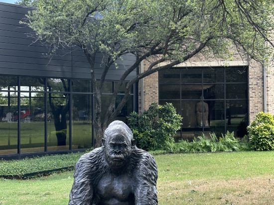 達拉斯醫學/市場中心萬怡酒店優惠