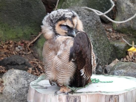 高台から海を望む 絶景の宿　伊豆・熱川温泉 粋光（SUIKO） クーポン