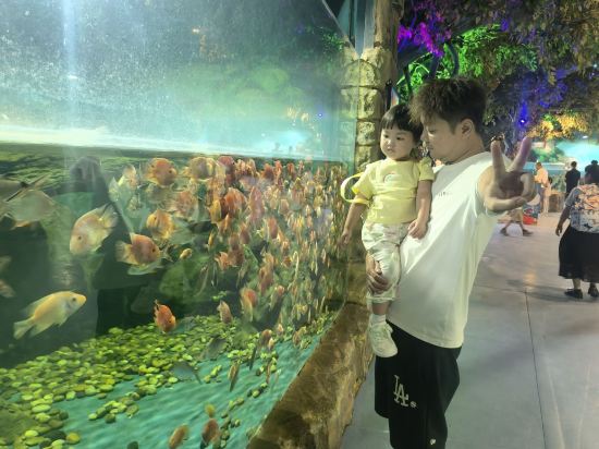 海口觀瀾湖度假飯店優惠