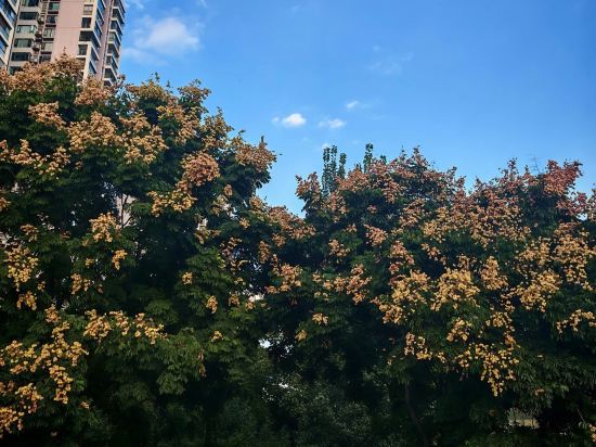 農居精品飯店（天府國際機場店）優惠