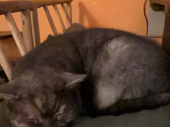 西湖出釉民宿優惠