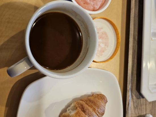 中洲博多花園酒店優惠