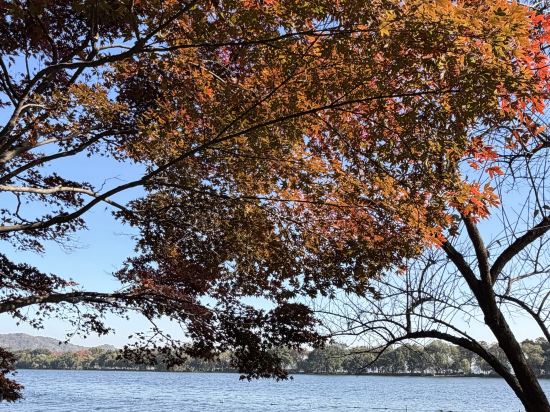杭州西湖國賓館·西湖第一名園優惠