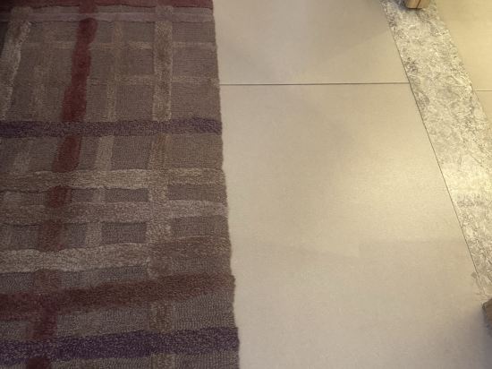 海口萬麗酒店優惠