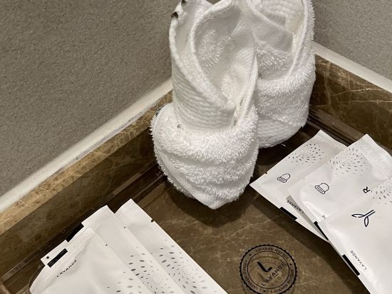 麗楓酒店（廣州天河公園地鐵站店）優惠