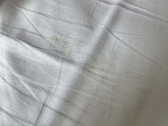 瑞士貝林現代芝坎德酒店優惠