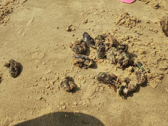 陽江海陵島北洛祕境洛悅飯店優惠