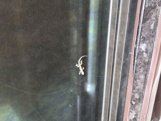 天閣酒店（台北士林館）優惠