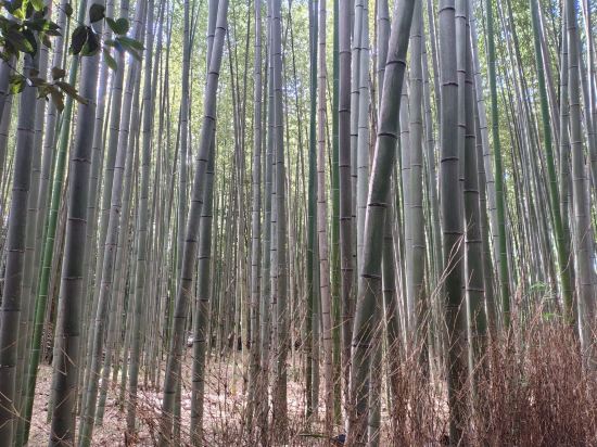 京都六條東方飯店優惠