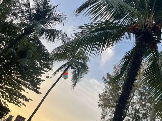 檳城香格里拉金沙灘度假村優惠