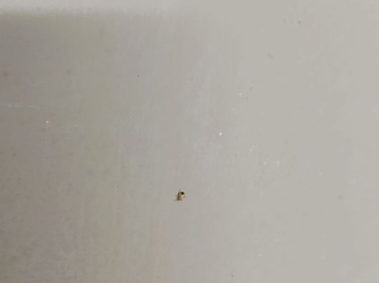 台北西門窩青年旅館優惠