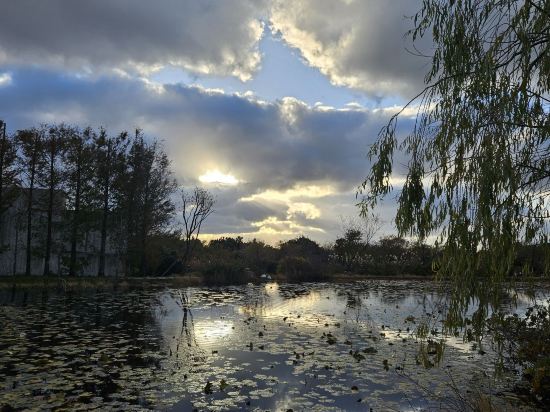 메리어트관 제주신화월드 호텔앤리조트 쿠폰