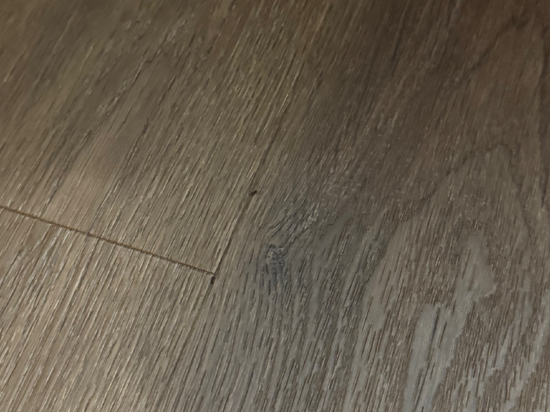 温德姆昆西/波士頓豪生酒店優惠