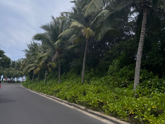 金蘭瑟勒頓諾亞度假村優惠