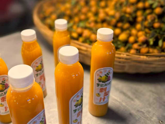 安順萬綠城鉑瑞茲酒店優惠