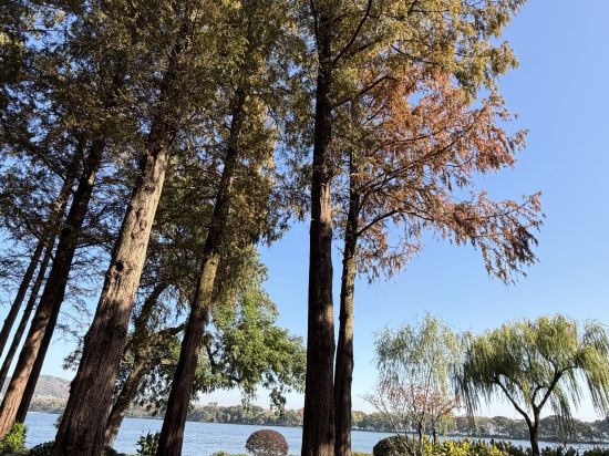 杭州西湖國賓館·西湖第一名園優惠