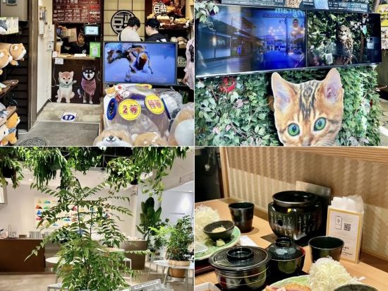 三井花園飯店京都河原町凈教寺優惠