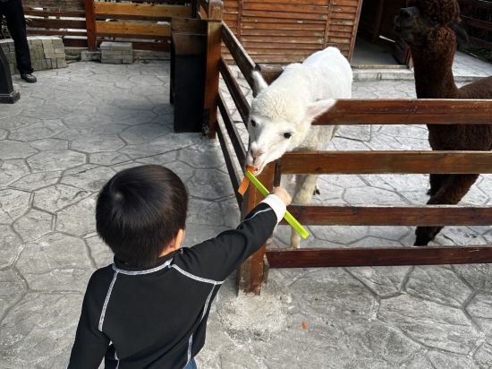 陽朔悦榕莊優惠