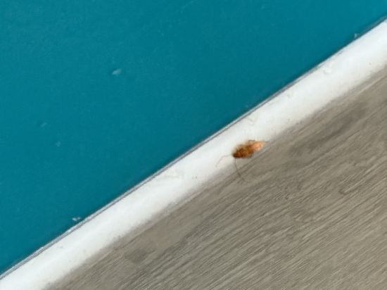 吉隆坡KLCC服務式公寓豪華套房優惠