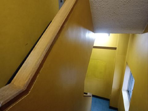 ニューまつお クーポン