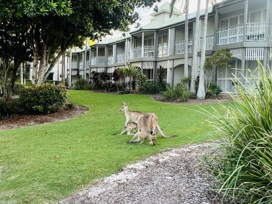 陽光海岸諾富特度假酒店優惠