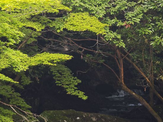 山水木優惠