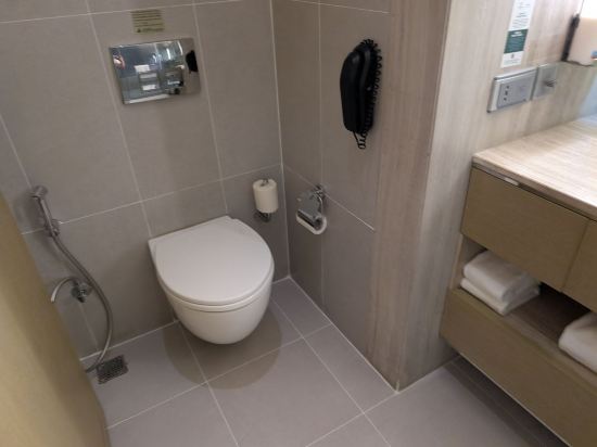 新德里國際機場假日旅館優惠