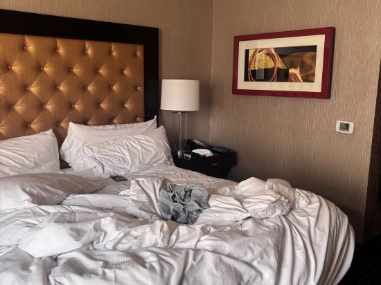 庫比蒂諾朱尼伯格芮精選希爾頓酒店優惠