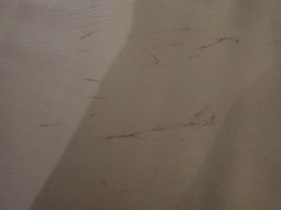 호텔 굿데이 쿠폰